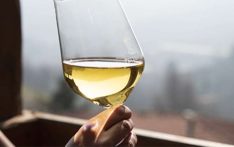 vino bianco in bicchiere