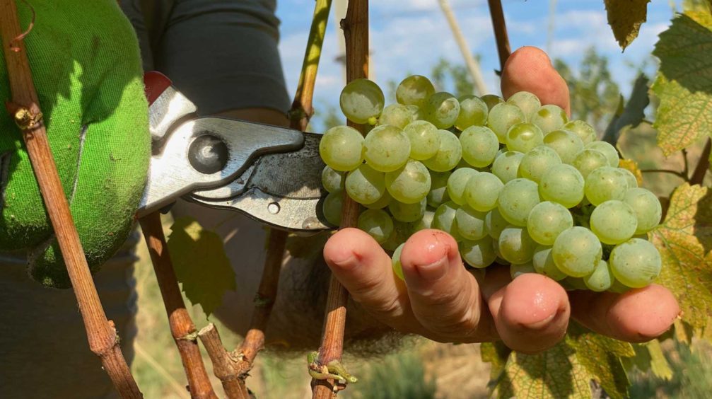 location eventi aziendali bergamo